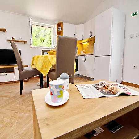 Apartmán Standard One Bedroom With Partial Sea View Novi